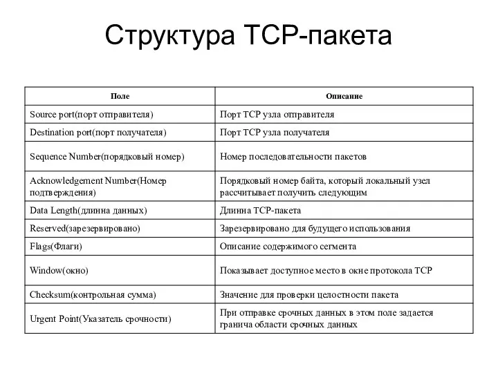 Структура TCP-пакета