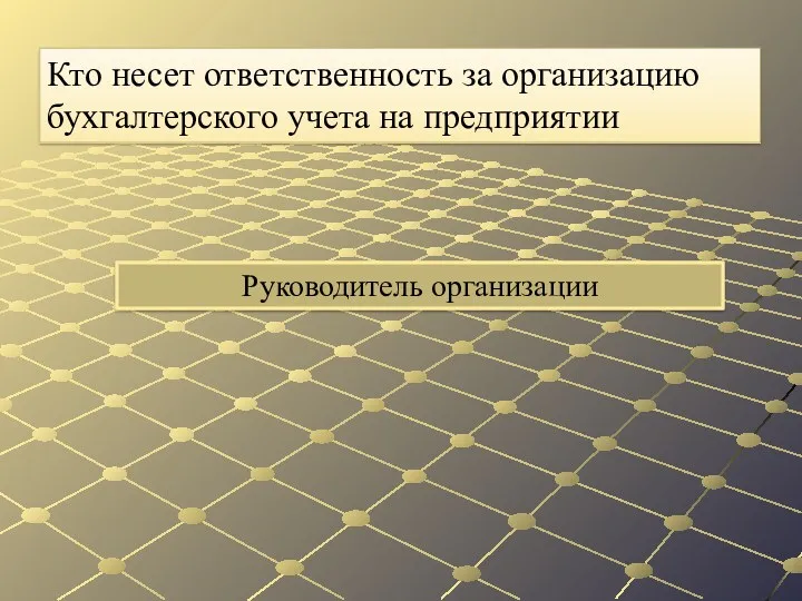 Руководитель организации Кто несет ответственность за организацию бухгалтерского учета на предприятии