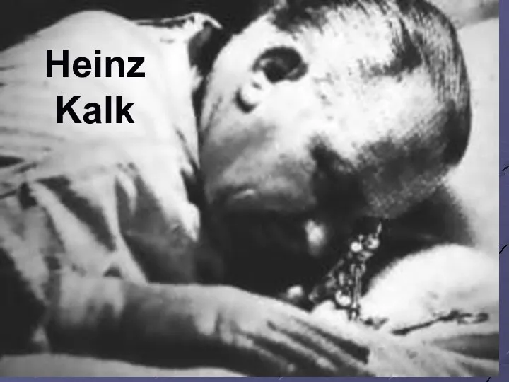 Heinz Kalk