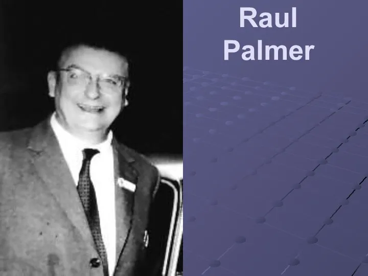 Raul Palmer