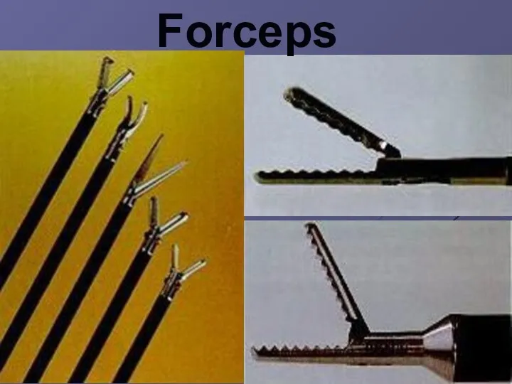 Forceps