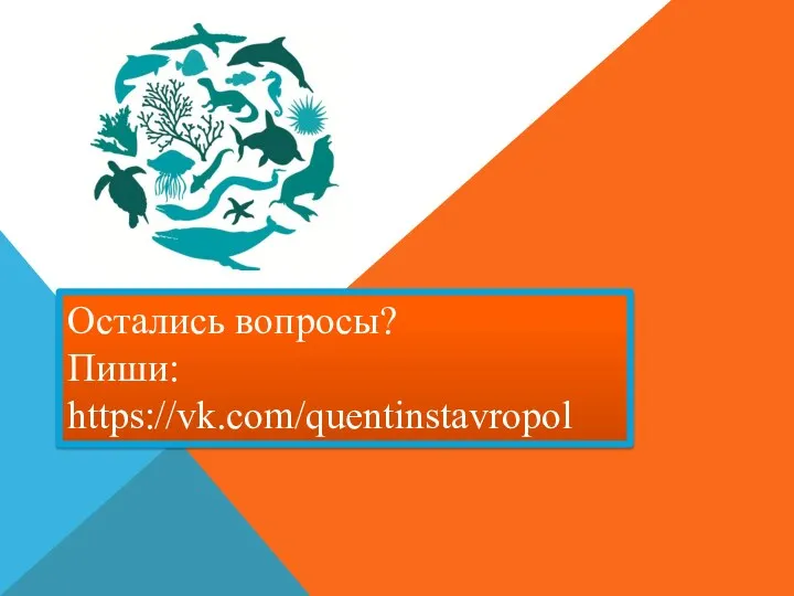 Остались вопросы? Пиши: https://vk.com/quentinstavropol