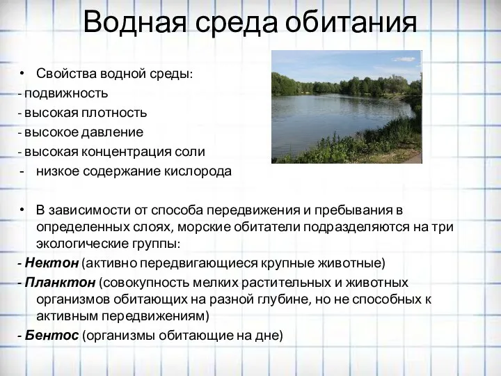 Водная среда обитания Свойства водной среды: - подвижность - высокая