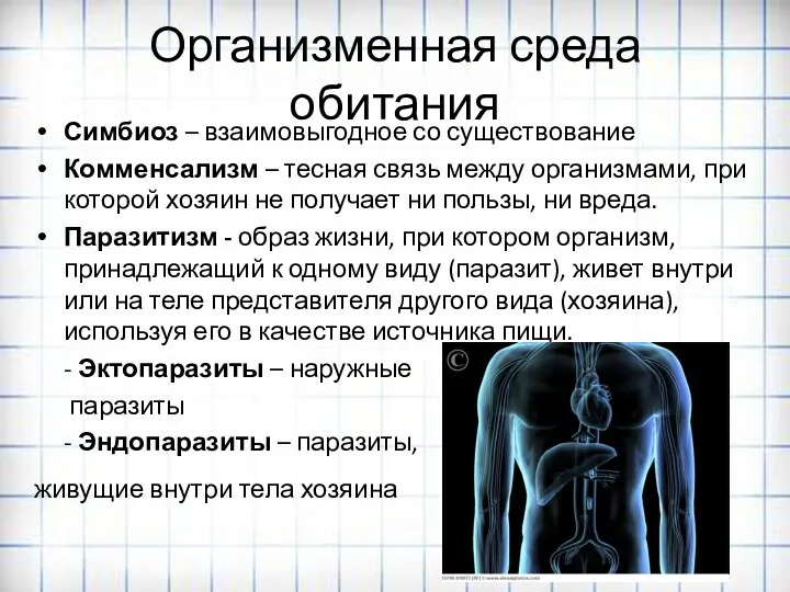 Организменная среда обитания Симбиоз – взаимовыгодное со существование Комменсализм –