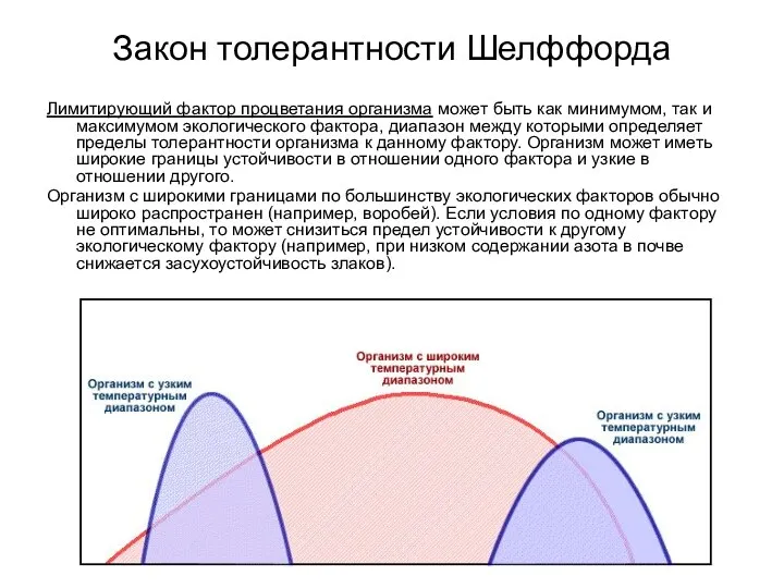 Закон толерантности Шелффорда Лимитирующий фактор процветания организма может быть как