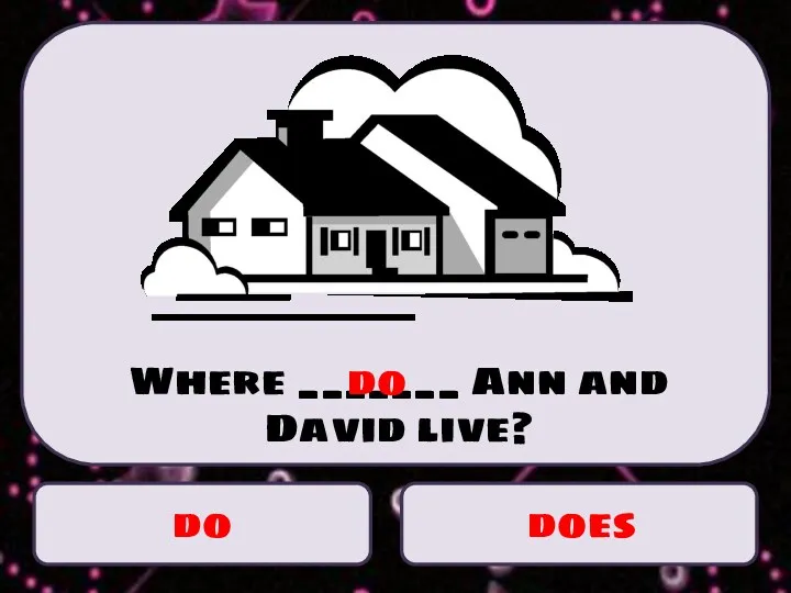 do does Where _______ Ann and David live? do