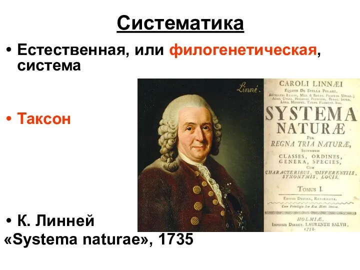 Систематика Естественная, или филогенетическая, система Таксон К. Линней «Systema naturae», 1735