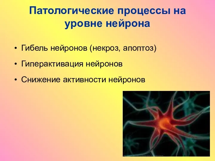 Патологические процессы на уровне нейрона Гибель нейронов (некроз, апоптоз) Гиперактивация нейронов Снижение активности нейронов