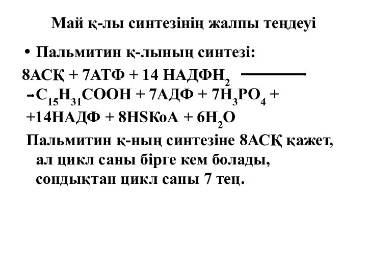 Май қ-лы синтезінің жалпы теңдеуі Пальмитин қ-лының синтезі: 8АСҚ +