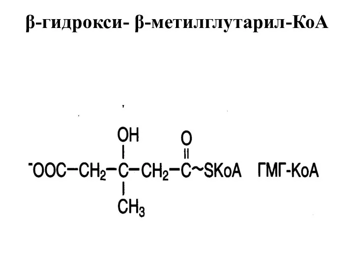 β-гидрокси- β-метилглутарил-КоА