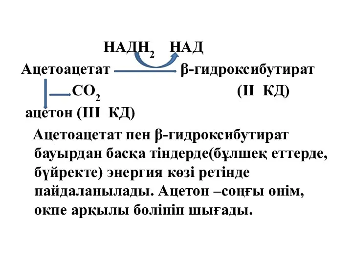 НАДН2 НАД Ацетоацетат β-гидроксибутират СО2 (ІІ КД) ацетон (ІІІ КД) Ацетоацетат пен β-гидроксибутират