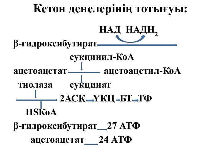 Кетон денелерінің тотығуы: НАД НАДН2 β-гидроксибутират сукцинил-КоА ацетоацетат ацетоацетил-КоА тиолаза