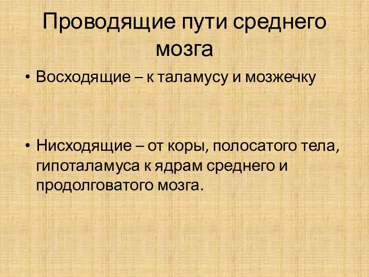 Проводящие пути среднего мозга Восходящие – к таламусу и мозжечку