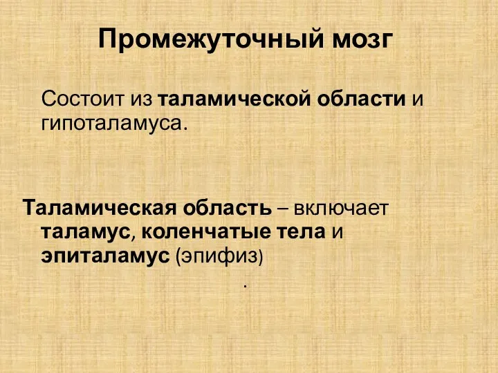 Промежуточный мозг Состоит из таламической области и гипоталамуса. Таламическая область