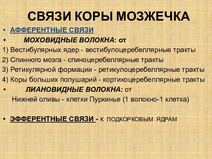 СВЯЗИ КОРЫ МОЗЖЕЧКА АФФЕРЕНТНЫЕ СВЯЗИ МОХОВИДНЫЕ ВОЛОКНА: от 1) Вестибулярных