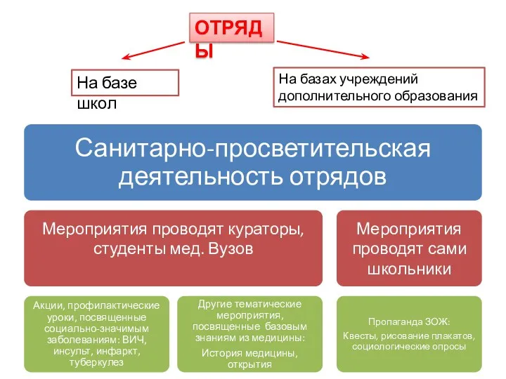 ОТРЯДЫ На базе школ На базах учреждений дополнительного образования