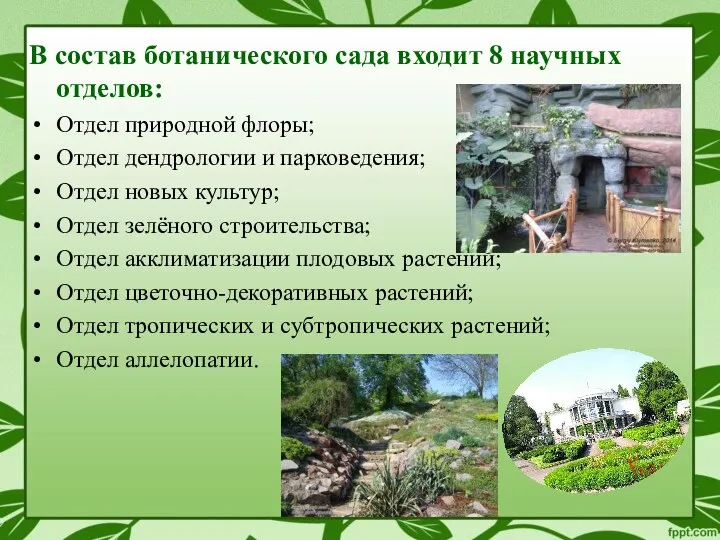 В состав ботанического сада входит 8 научных отделов: Отдел природной флоры; Отдел дендрологии