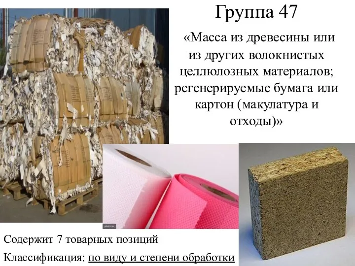 Группа 47 «Масса из древесины или из других волокнистых целлюлозных материалов; регенерируемые бумага