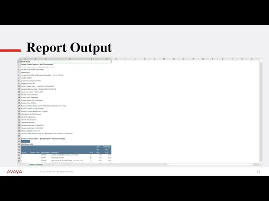 Report Output