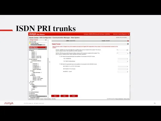ISDN PRI trunks