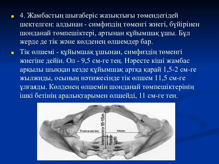 4. Жамбастың шығаберіс жазықтығы төмендегідей шектелген: алдынан - симфиздің төменгі