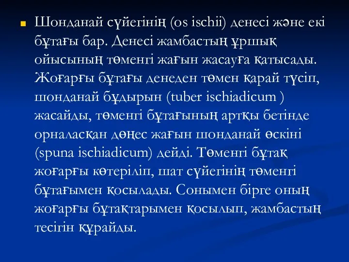 Шонданай сүйегінің (оs ischii) денесі және екі бұтағы бар. Денесі