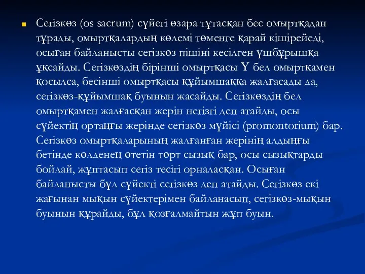 Сегізкөз (оs sacrum) сүйегі өзара тұтасқан бес омыртқадан тұрады, омыртқалардың