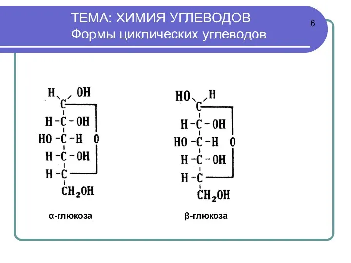 ТЕМА: ХИМИЯ УГЛЕВОДОВ Формы циклических углеводов α-глюкоза β-глюкоза 6