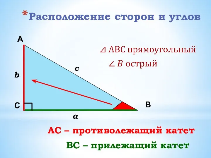 Расположение сторон и углов А С В b c a