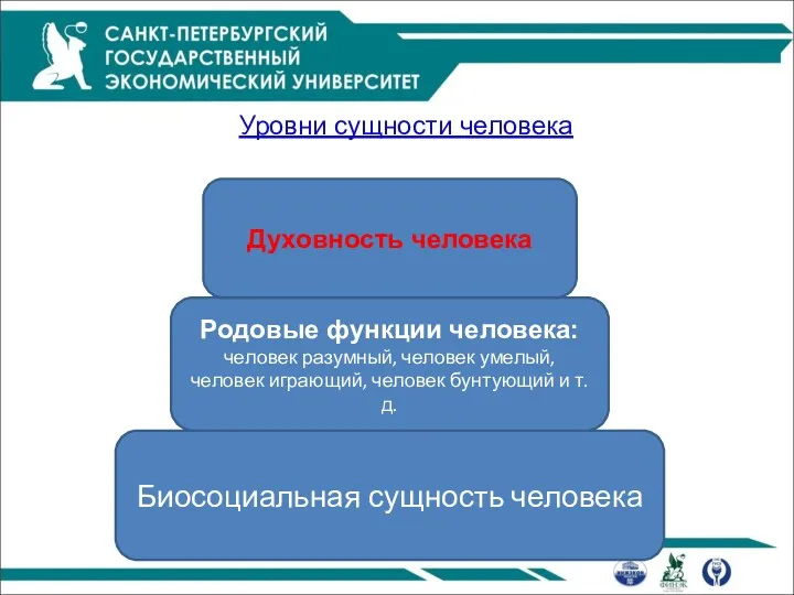 Уровни сущности человека Биосоциальная сущность человека Родовые функции человека: человек