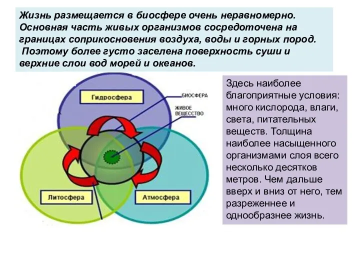 Жизнь размещается в биосфере очень неравномерно. Основная часть живых организмов