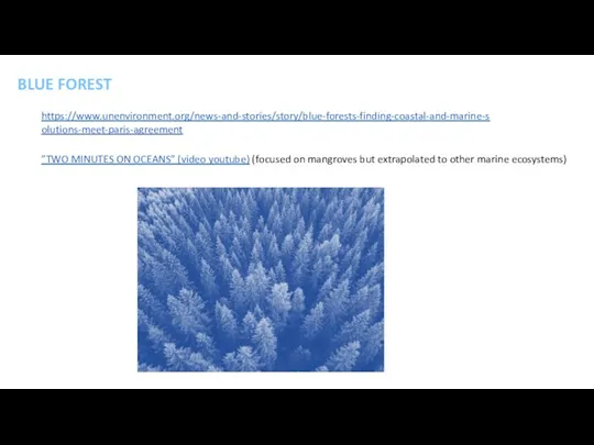 BLUE FOREST https://www.unenvironment.org/news-and-stories/story/blue-forests-finding-coastal-and-marine-solutions-meet-paris-agreement ”TWO MINUTES ON OCEANS” (video youtube) (focused