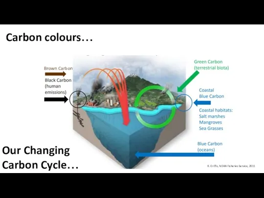 Carbon colours… R. Griffis, NOAA Fisheries Service, 2011 Our Changing Carbon Cycle… Brown Carbon