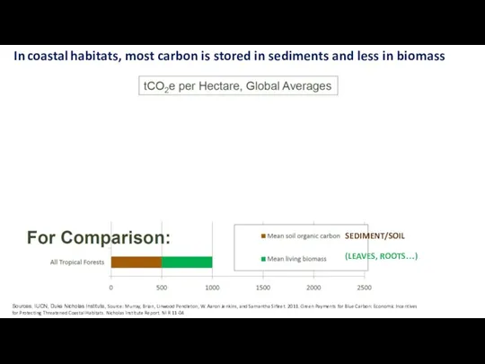 In coastal habitats, most carbon is stored in sediments and