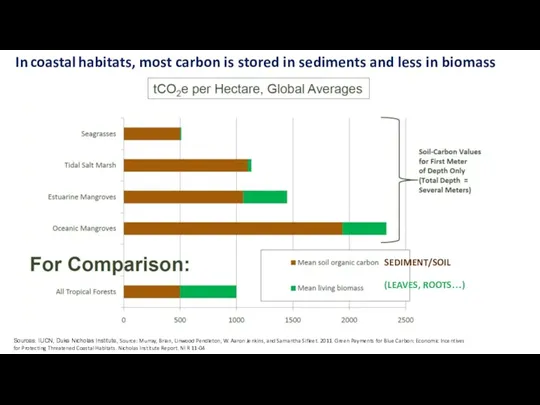 In coastal habitats, most carbon is stored in sediments and