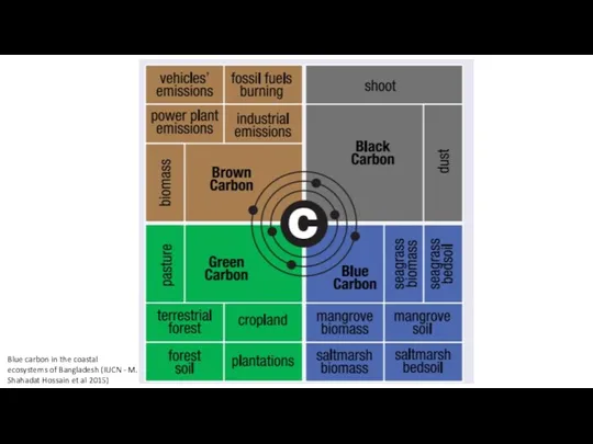 Blue carbon in the coastal ecosystems of Bangladesh (IUCN - M. Shahadat Hossain et al 2015)