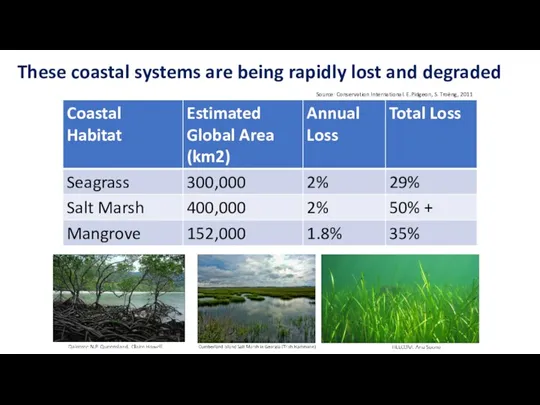 These coastal systems are being rapidly lost and degraded Source: Conservation International. E.Pidgeon, S. Troëng, 2011