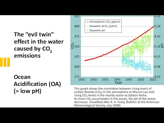 The “evil twin” effect in the water caused by CO2