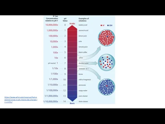 https://www.whoi.edu/oceanus/feature/small-drop-in-ph-means-big-change-in-acidity/