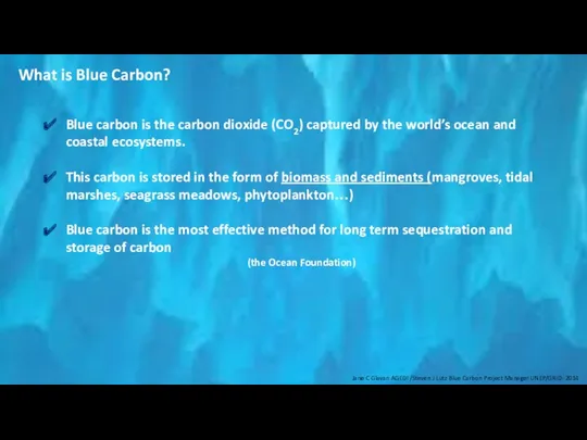 What is Blue Carbon? Blue carbon is the carbon dioxide