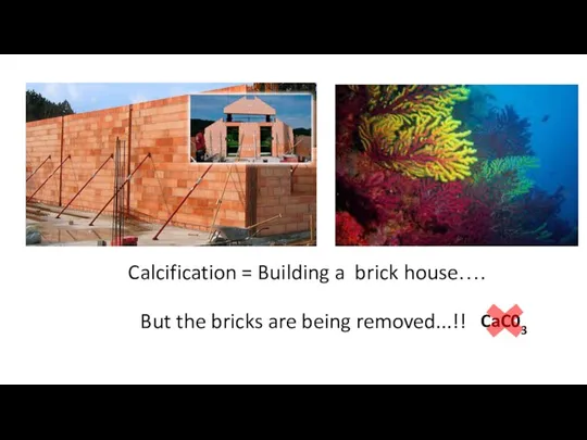 Calcification = Building a brick house….