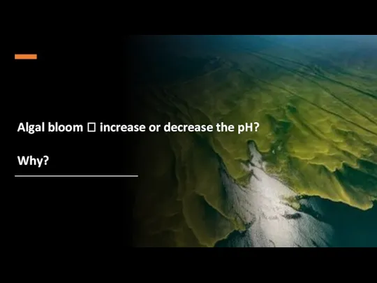 Algal bloom ? increase or decrease the pH? Why?