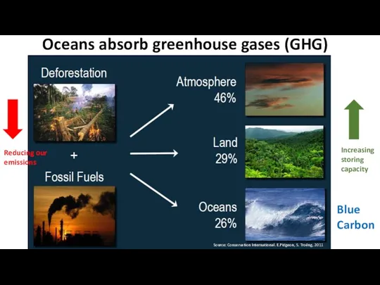 Oceans absorb greenhouse gases (GHG) Source: Conservation International. E.Pidgeon, S.
