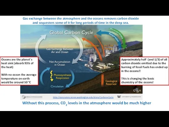 Gas exchange between the atmosphere and the oceans removes carbon