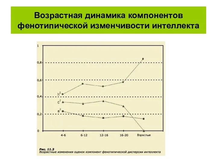 Возрастная динамика компонентов фенотипической изменчивости интеллекта