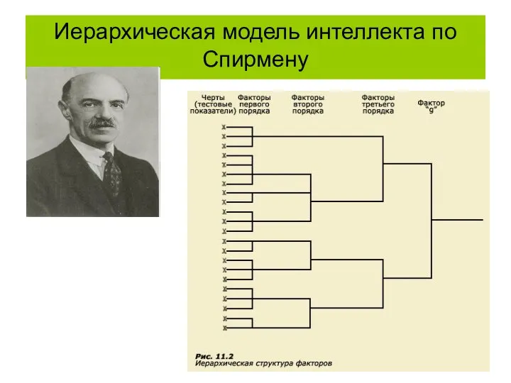 Иерархическая модель интеллекта по Спирмену