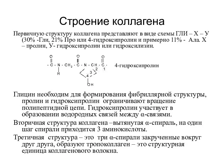 Строение коллагена Первичную структуру коллагена представляют в виде схемы ГЛИ