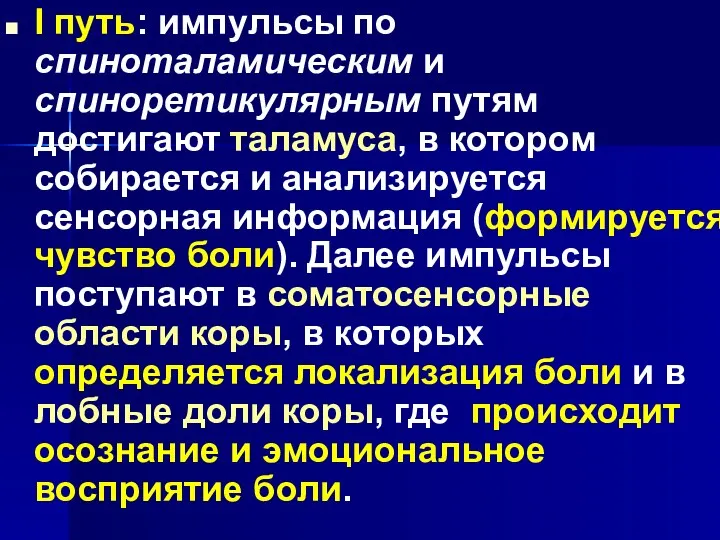 . I путь: импульсы по спиноталамическим и спиноретикулярным путям достигают