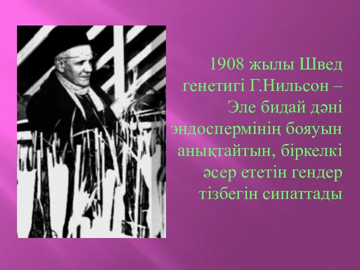 1908 жылы Швед генетигі Г.Нильсон – Эле бидай дәні эндоспермінің