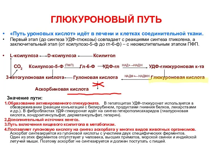 ГЛЮКУРОНОВЫЙ ПУТЬ «Путь уроновых кислот» идёт в печени и клетках